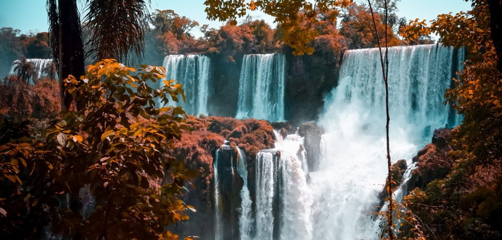 argentina TCM debt collection