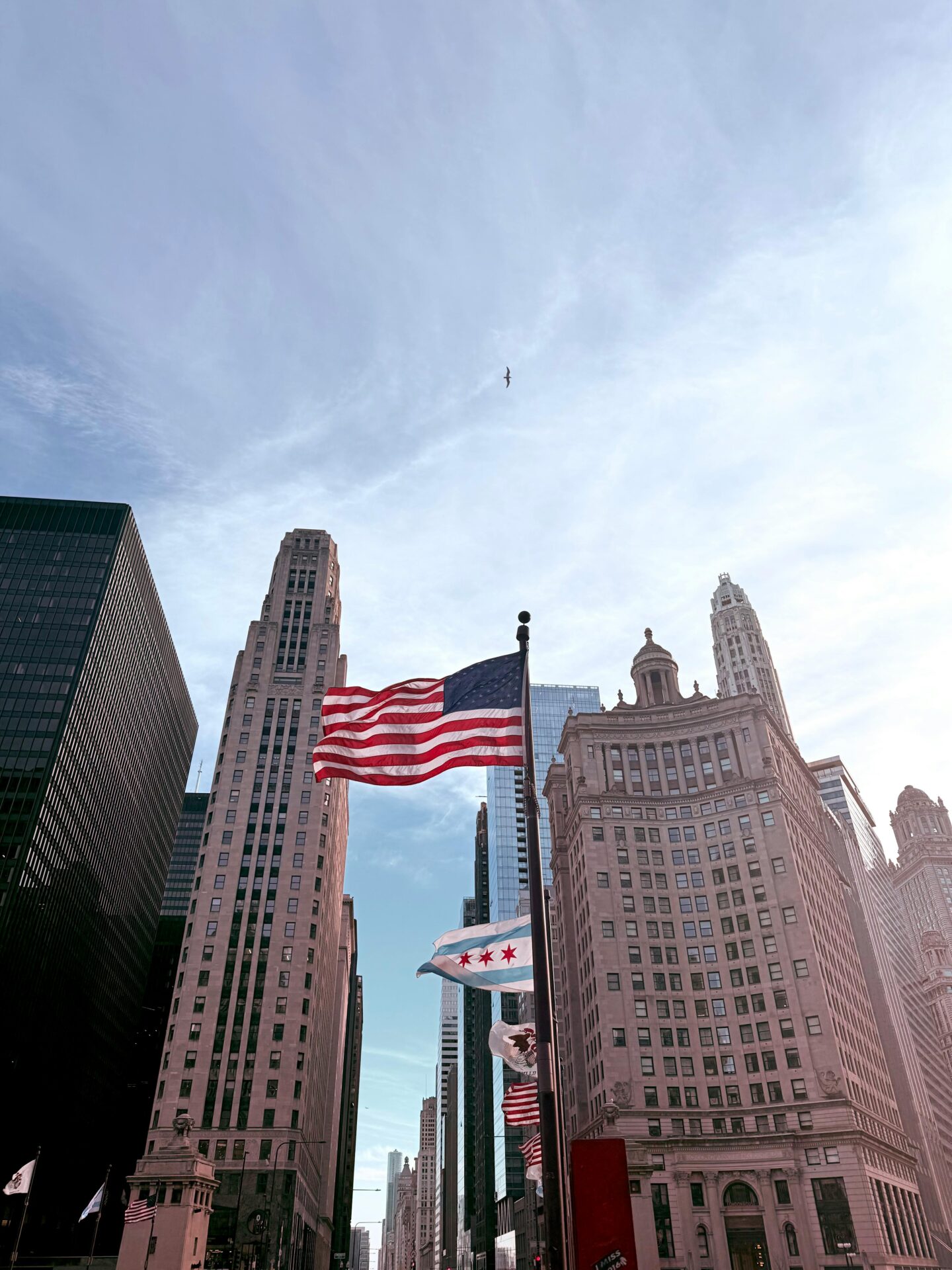 Internationale incasso in de Verenigde Staten 1 pexels dar ius 1051256061 36487011