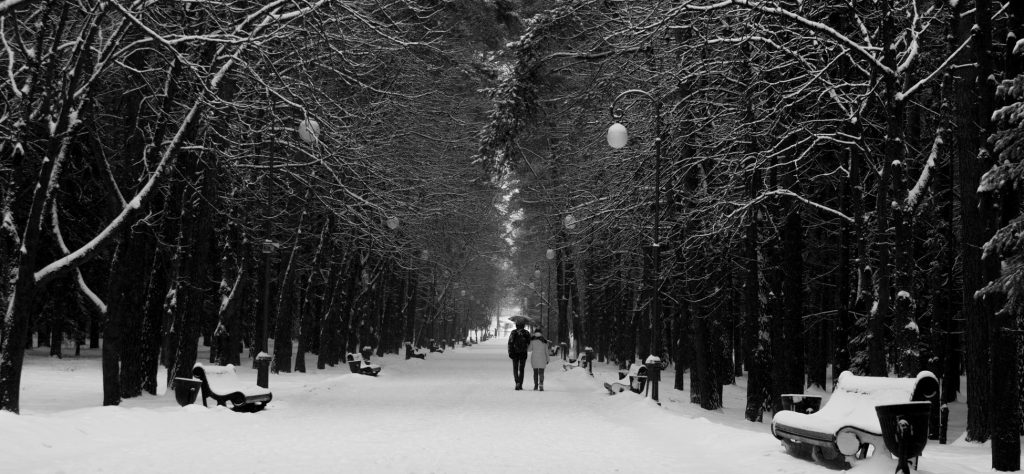 tcm debt collection belarus 1024x474 1