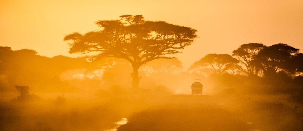 tcm debt collection kenya 1024x445 1