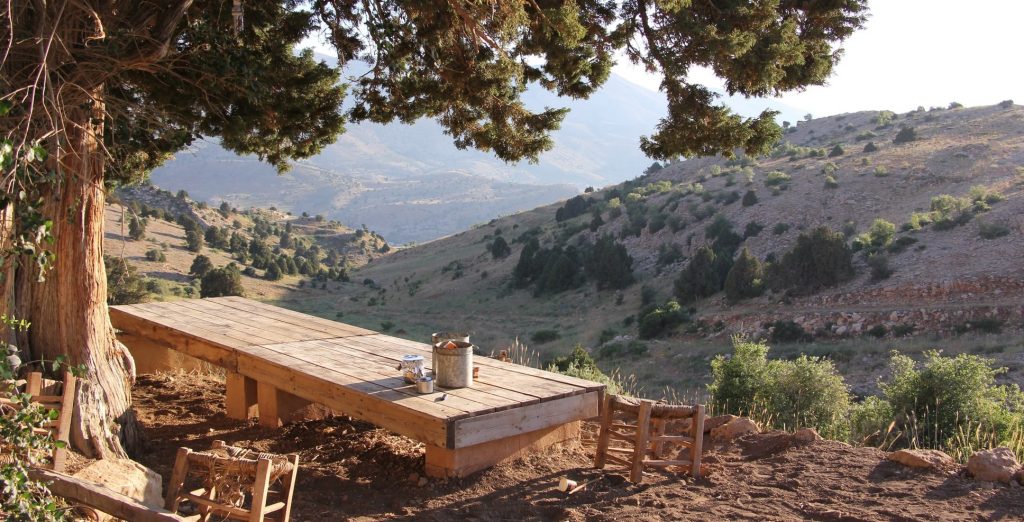 tcm debt collection lebanon 1024x522 1